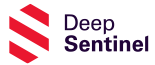 DeBragga